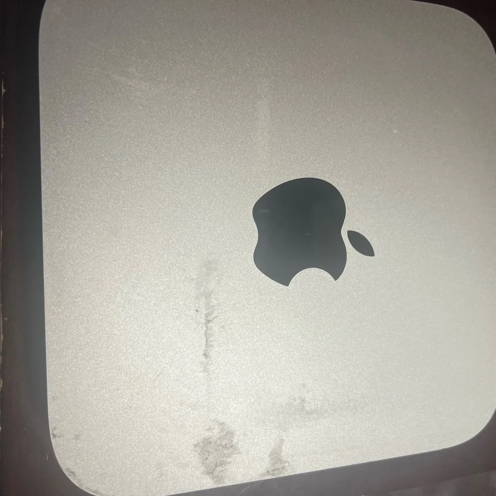 Apple processors hook to any type of monitor and start using a safari